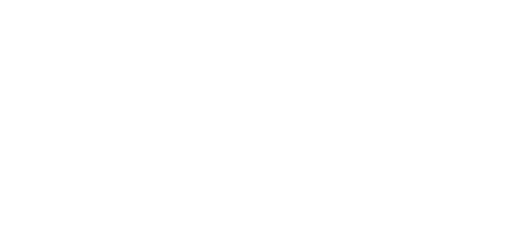 logo media wildturtle